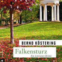 Buchcover Falkensturz, Bernd Köstering